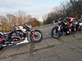 Harley Davidson V-rod w dwóch wyjątkowych odsłonach. Customowy Mephisto i Grunwald na zdjęciach